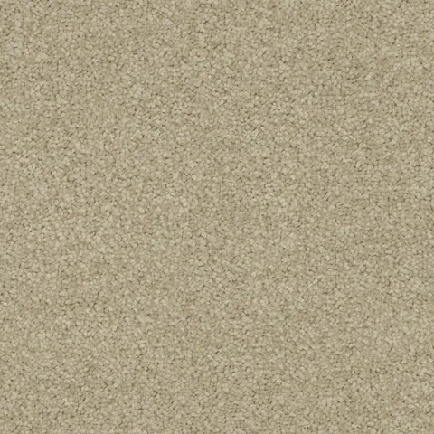 Grey Haze carpet swatch